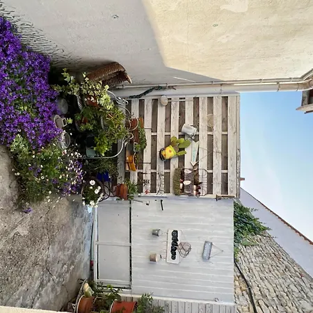 Au Coeur D'un Jardin Ensoleille Διαμέρισμα Le Château-dʼOléron