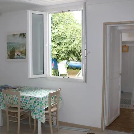 Au Coeur D'un Jardin Ensoleille *